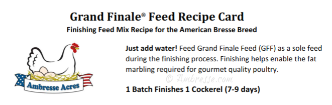 gff-recipe-card-title20230118.png