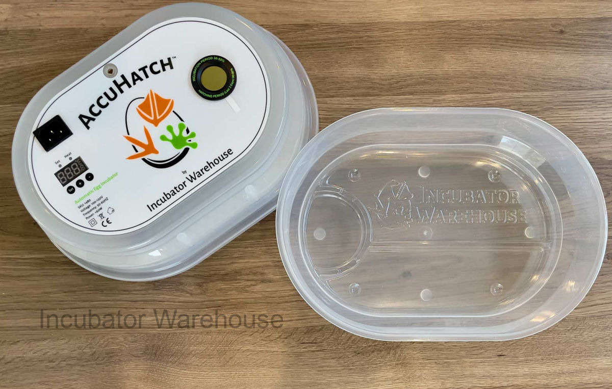 Accuhatch 12-egg Incubator offered at Incubator Warehouse.