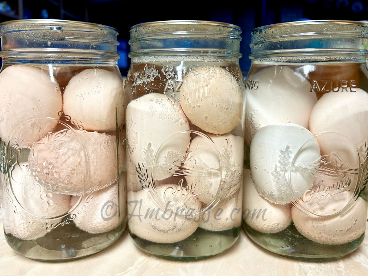 canned-eggs_2711a.jpg