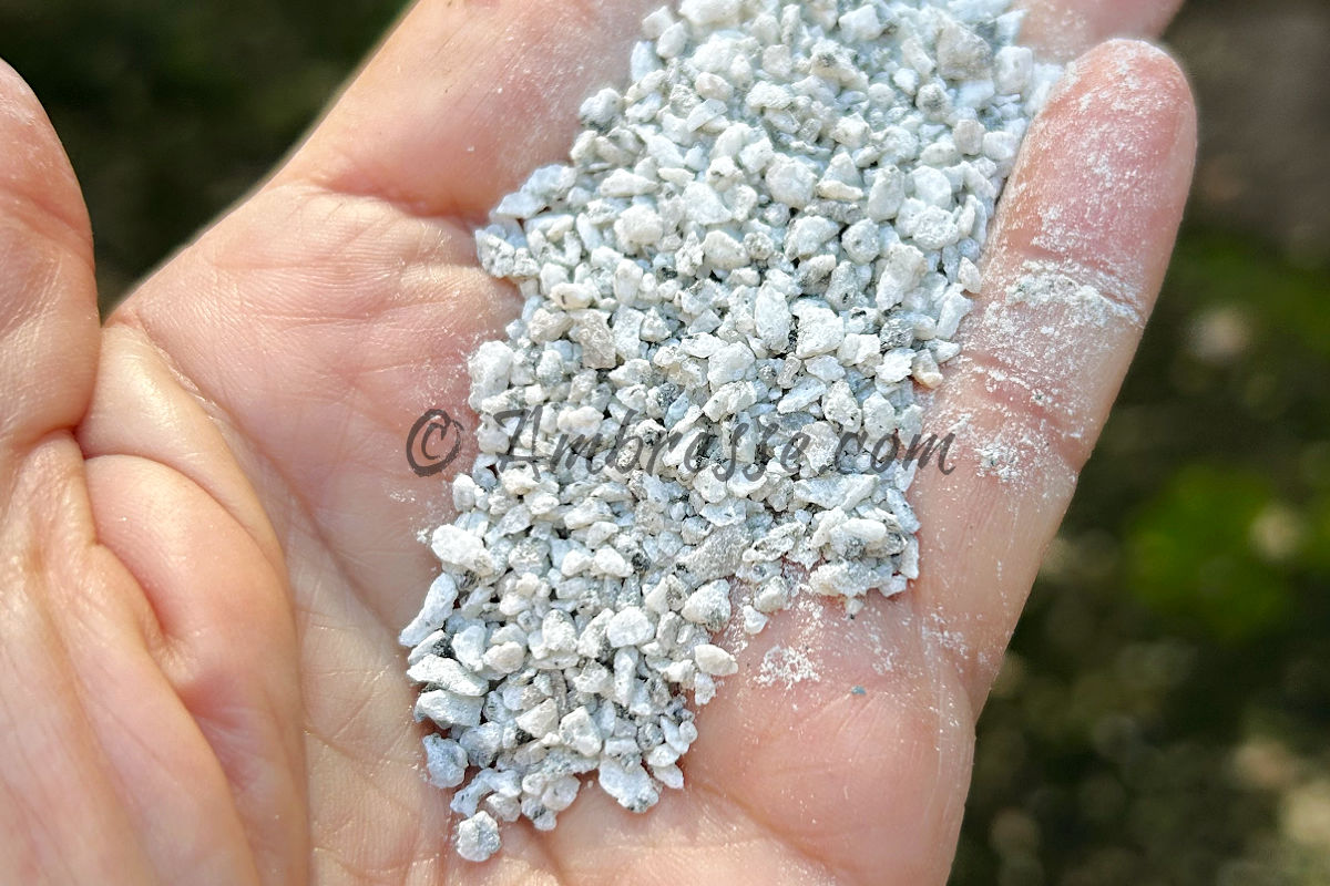 Palmful of granite grit sized for very young chicks.