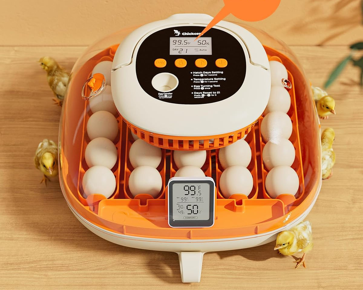 Chickcozy 2024 model can hatch 25 eggs.
