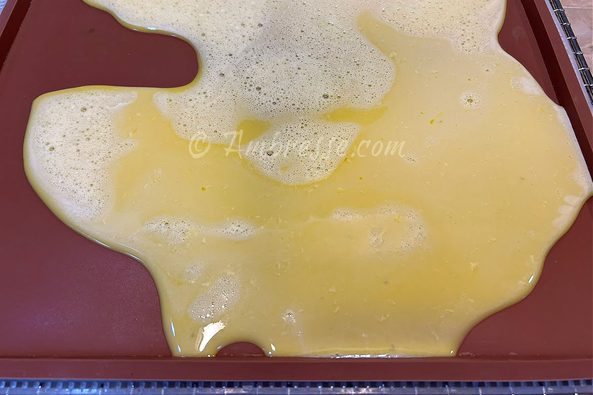 Raw scrambled eggs in silicone tray, ready to go into the dehydrator (9671).