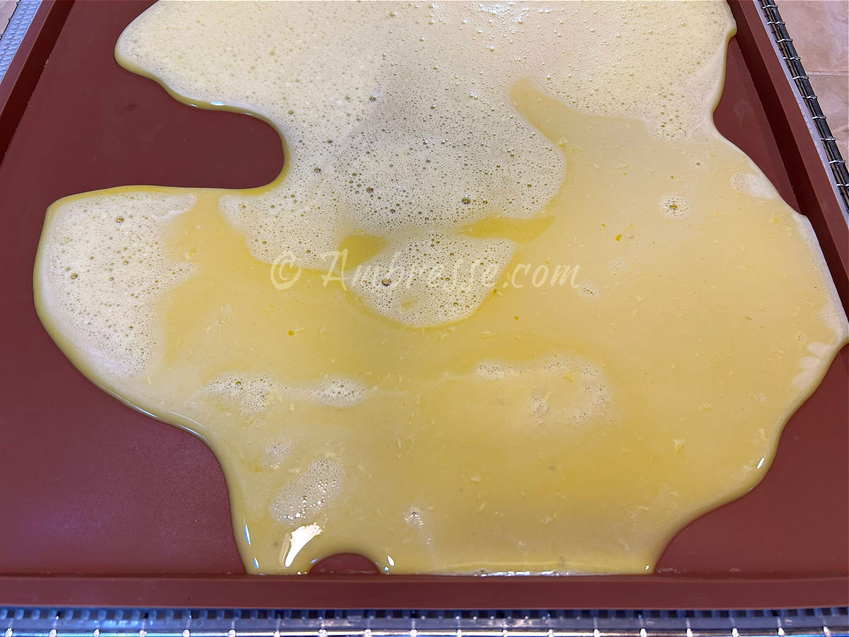 Fresh raw eggs, scrambled, in a silicone tray in preparation for dehydration (9671).