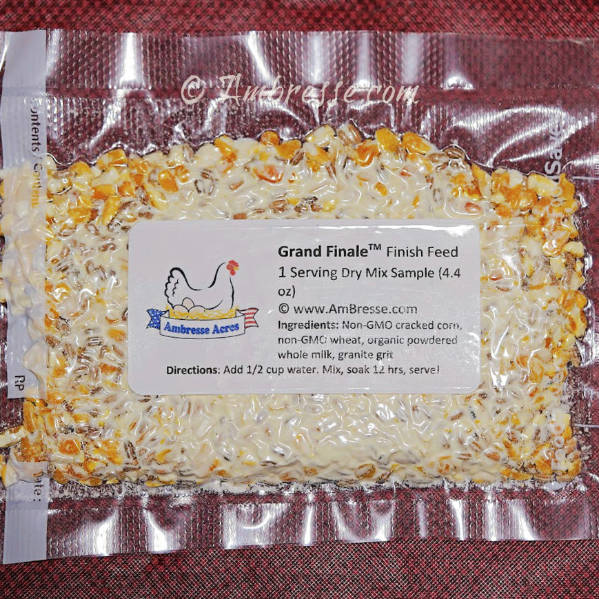 One serving-size sample package (4.4oz) of Grand Finale Finish Feed, for finishing American Bresse poultry. From Ambresse.com.