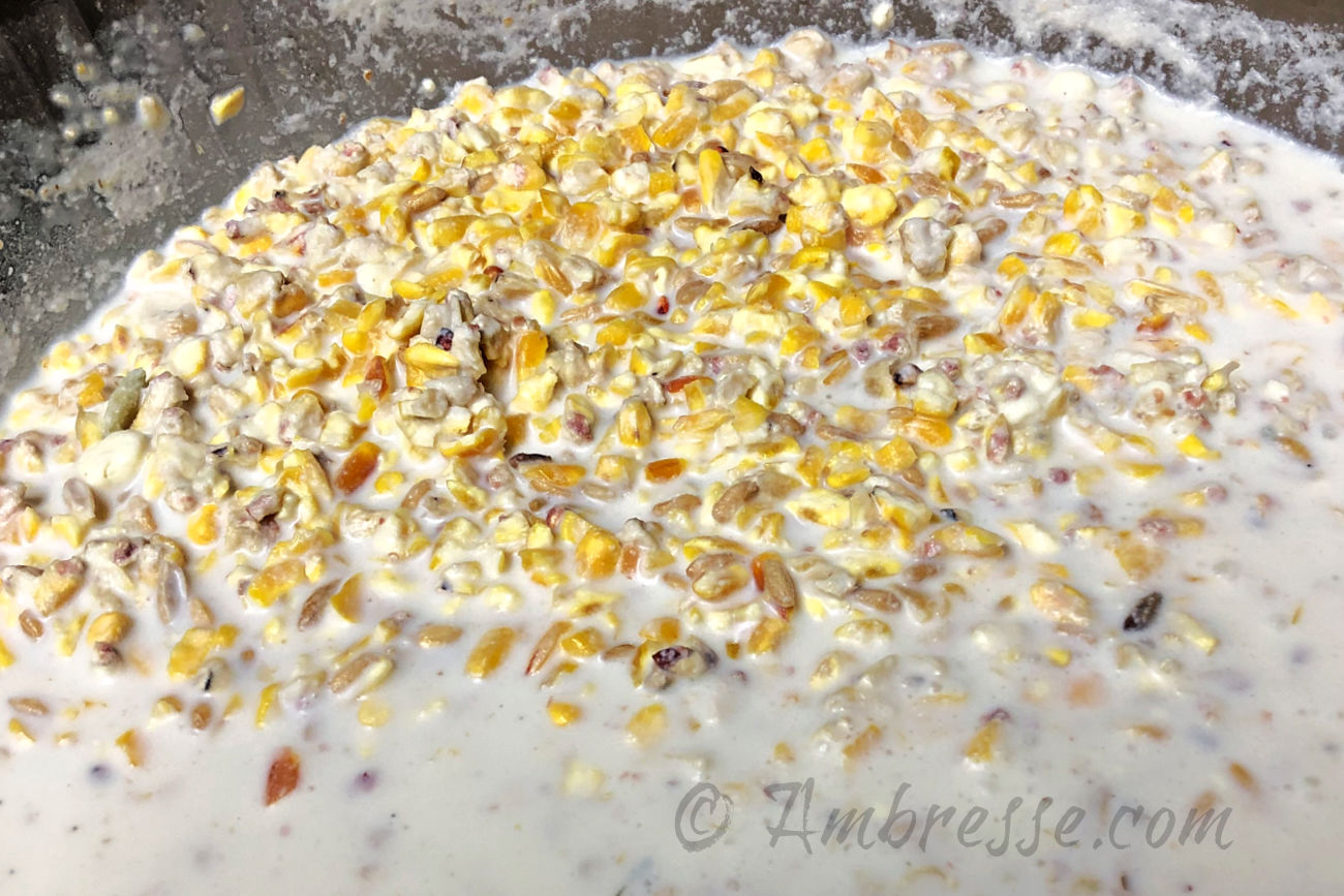 Finishing: Cracked corn and wheat kernels soaking in whole milk.