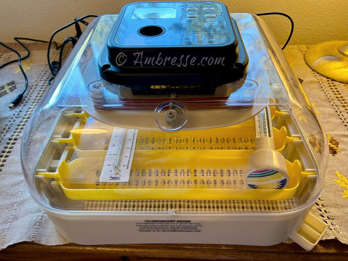 Temperature measurement within the Maticoopx 30 before setting a hatch.