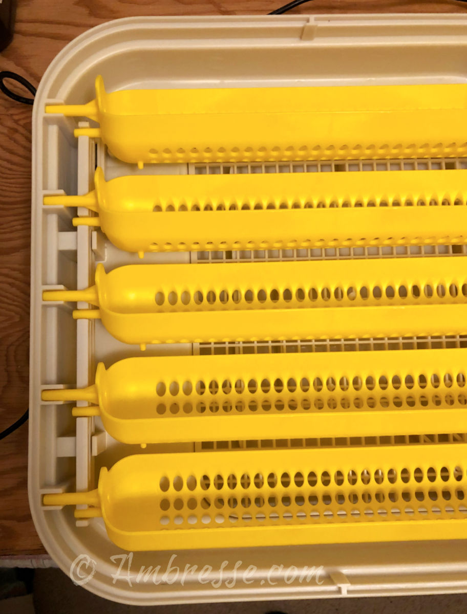 maticoopx30-base-w-trays_7577-20240312.jpg