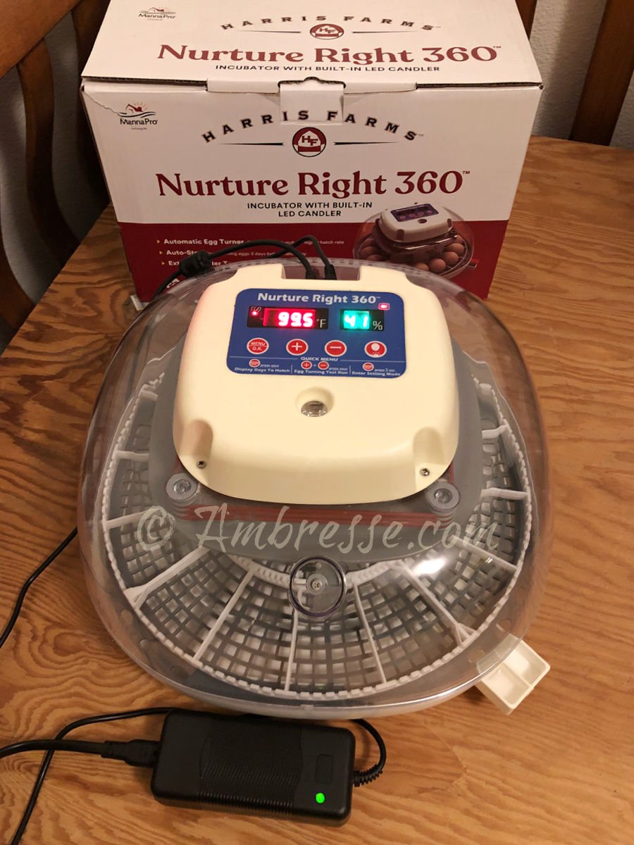 nature-right-360-incubator_7404.jpg