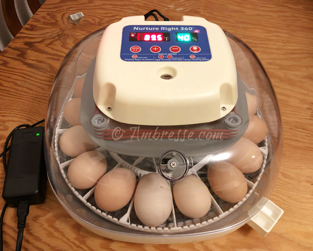 Nurture Right 360 Incubator in use.