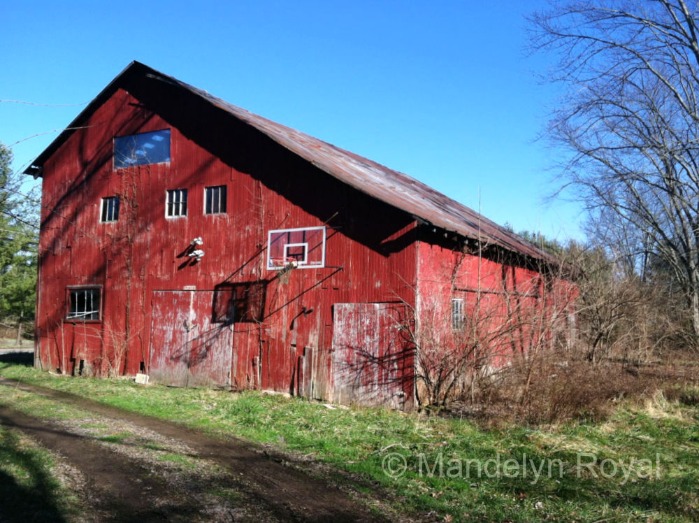 Mandelyn Royal's old barn before a beautiful renovation.