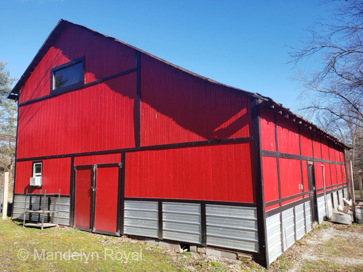 Mandelyn Royal's old barn beautifully renovated.