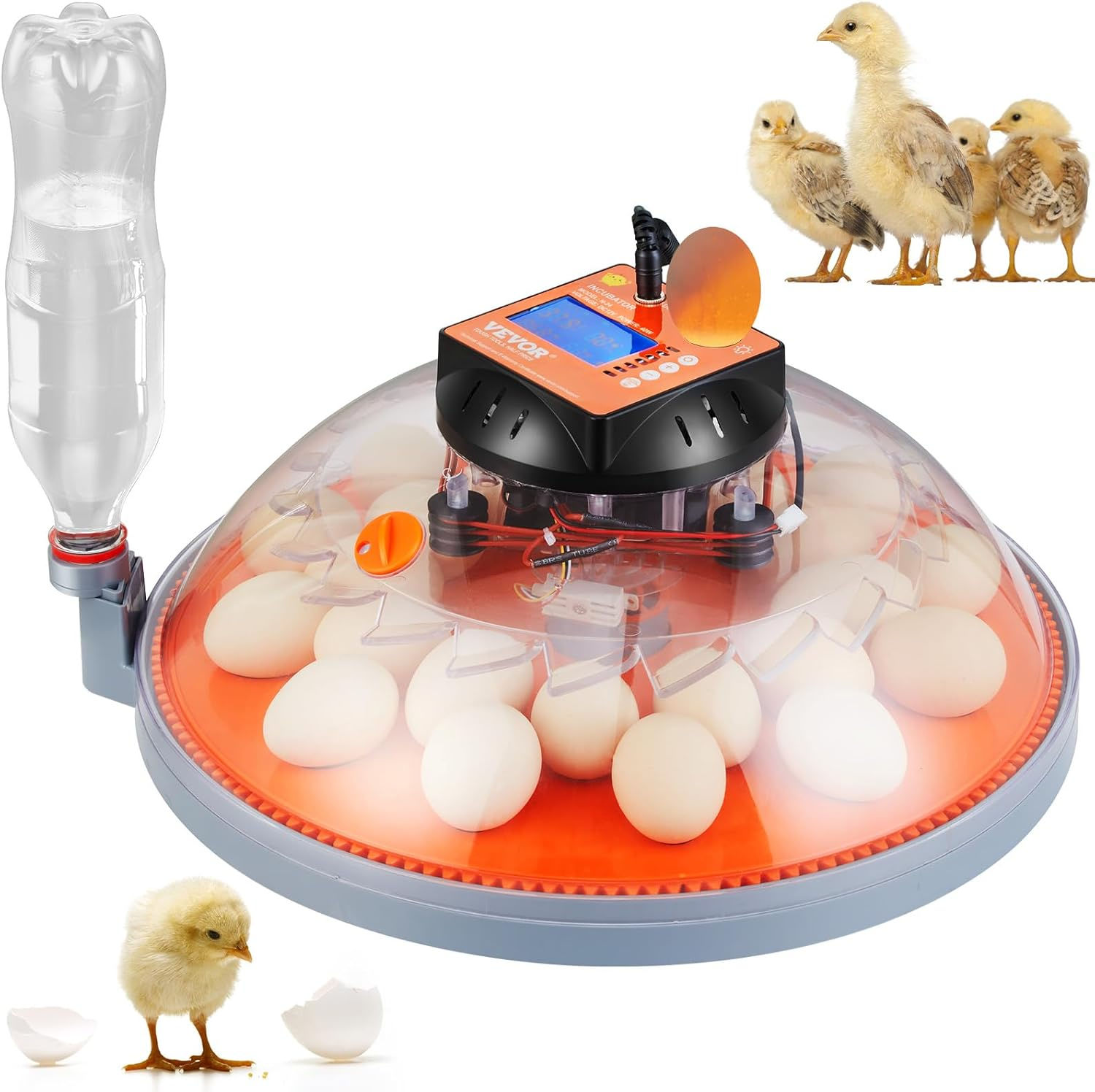Vevor 24-egg Incubator (Amazon).