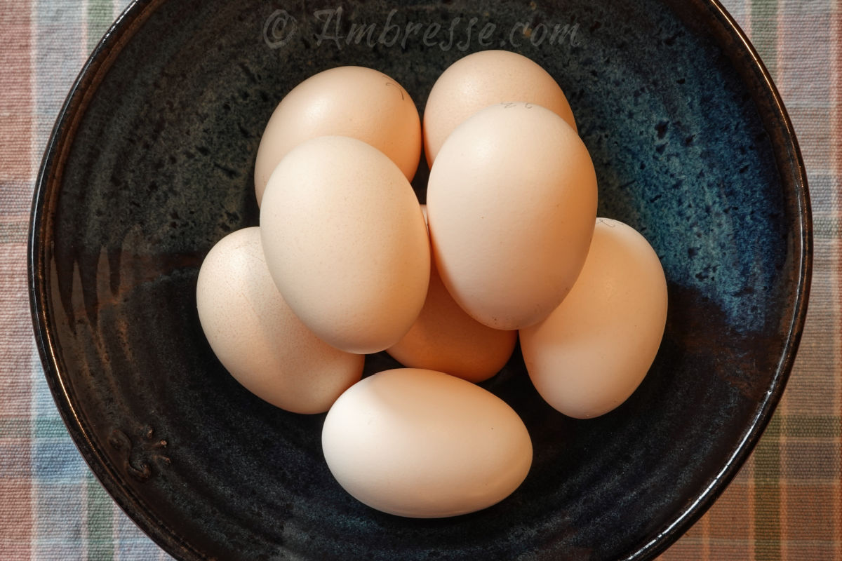 American Bresse Eggs are "tinted," some nearly white, some a light tan.