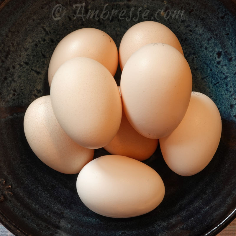 American Bresse eggs.